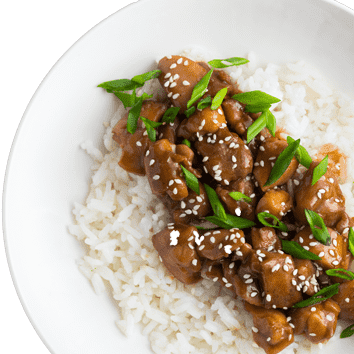 Order Teriyaki from The East Asia Co